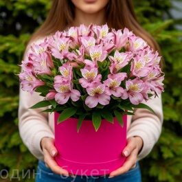 Альстромерия в шляпной коробке