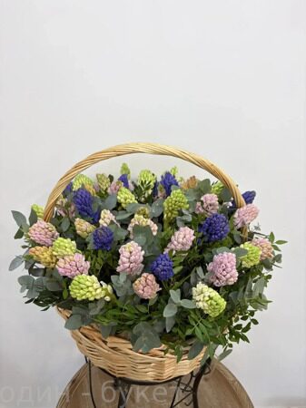 Корзина из гиацинтов микс