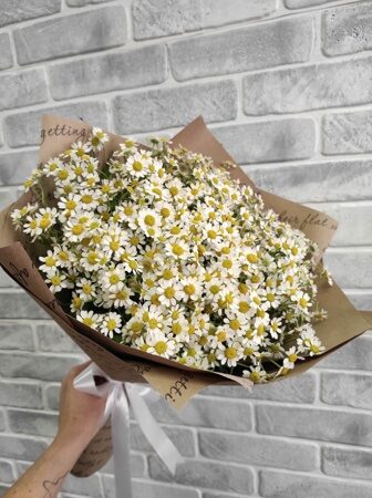 Букет из 19 ромашек