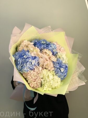 Букет из 9 гортензий