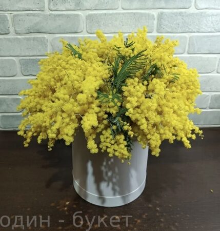 Коробочка с мимозой