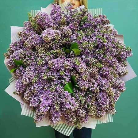 Огромный букет из сирени