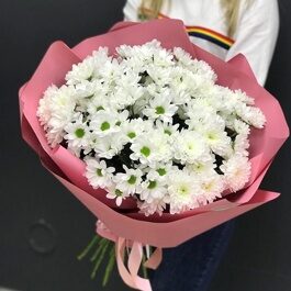 Букет из 9 кустовых хризантем