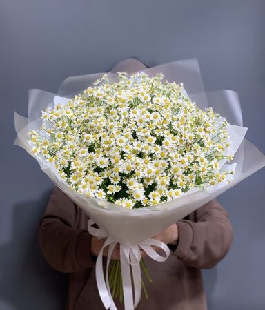 Букет из 35 ромашек
