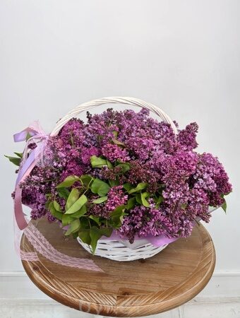 Корзина из 51 ветки сирени