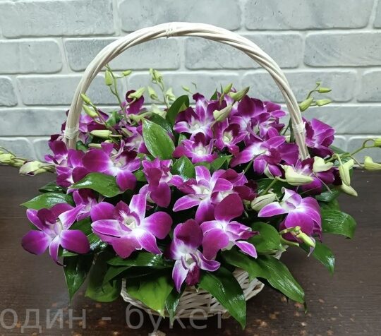 Корзина из орхидей