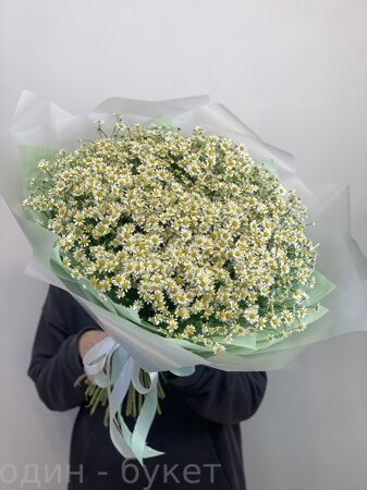 Букет из 55 кустовых ромашек