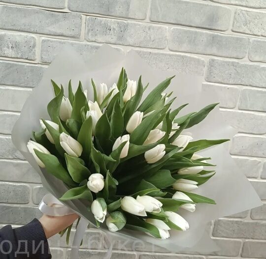 Букет из белых тюльпанов