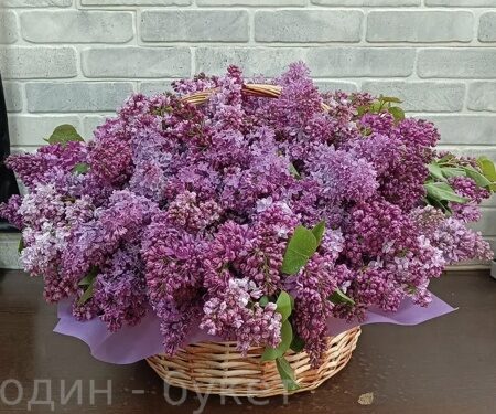 Большая корзина из 101 сирени