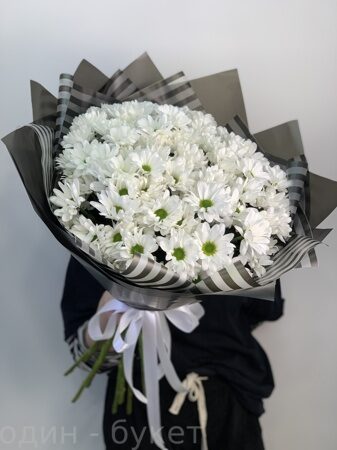 Букет из 15 кустовых хризантем