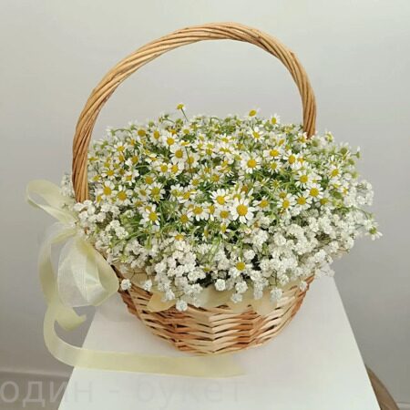 Корзина из ромашек и гипсофилы