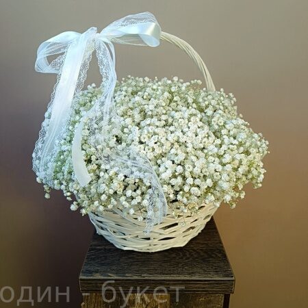 Корзина из 25 белых гипсофил