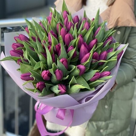 Букет из 51 фиолетового тюльпана