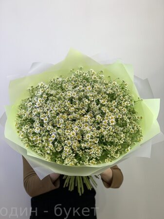 Букет из 59 ромашек